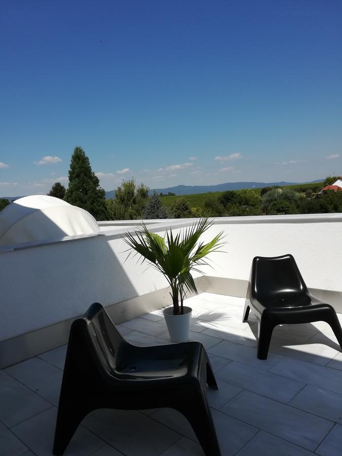 Aparthotel Oleander Hof Hochstadt  Esterno foto